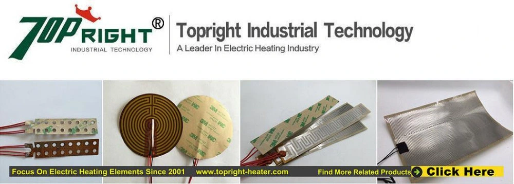 Custom Made Kapton Foil Heater Flexible Lightweight Thin Polyamide Film Heater